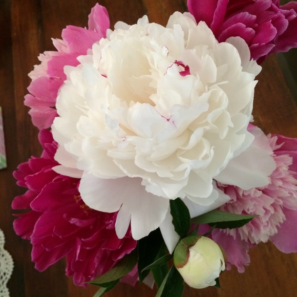 Meet your Posher, Carol - Picture 1 of 1